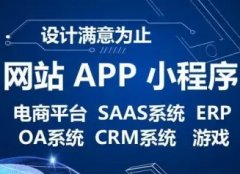 系统软件开发、软件定制、app开发、小程序开发