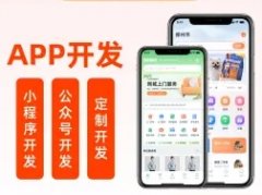 app开发、网站建设/设计、小程序开发、软件开发