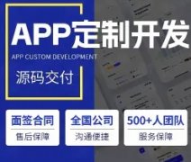 小程序开发 APP开发制作 软件开发 网站建设